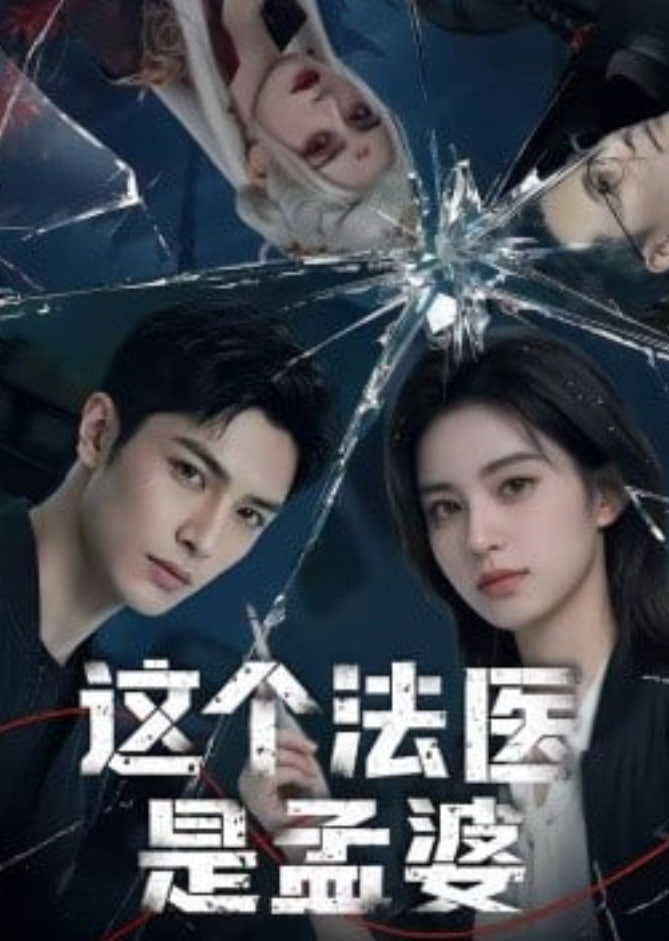 这个法医是孟婆(全集)