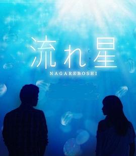 流星第02集
