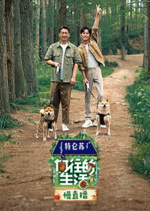 向往的生活第七季慢直播20230611