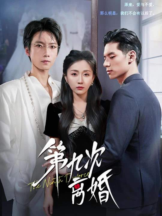 第九次离婚(全集)