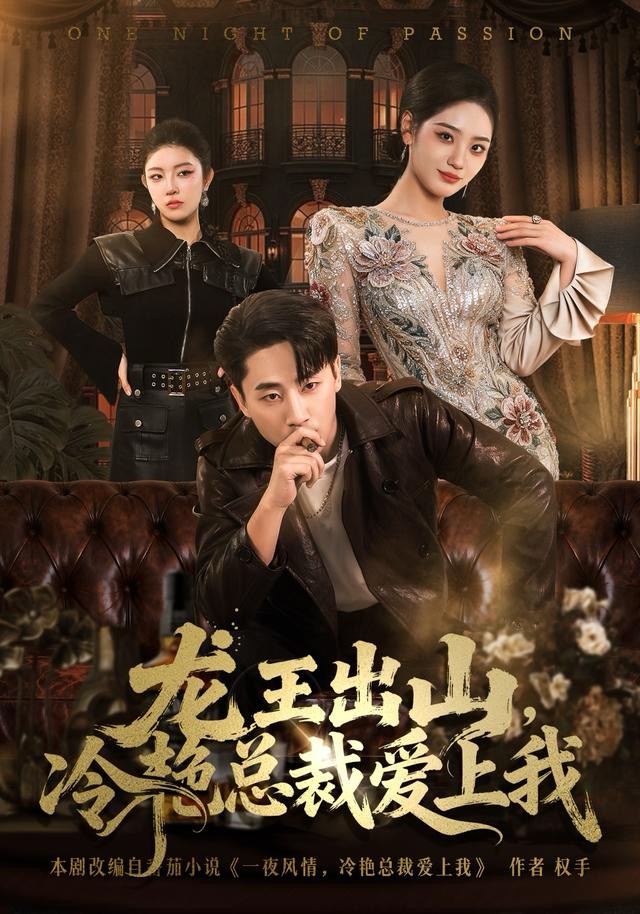 龙王出山，冷艳总裁爱上我第17集