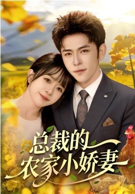 总裁的农家小娇妻第100集