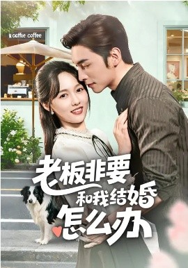 老板非要和我结婚怎么办第19集