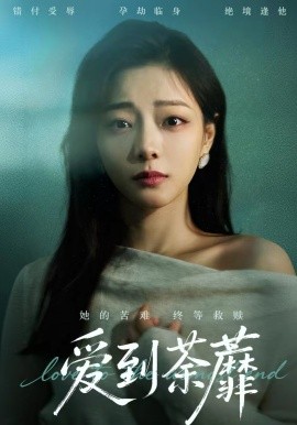 爱到荼蘼(全集)