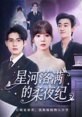 星河落满的柔夜纪第44集