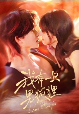 我有一只男狐狸(全集)