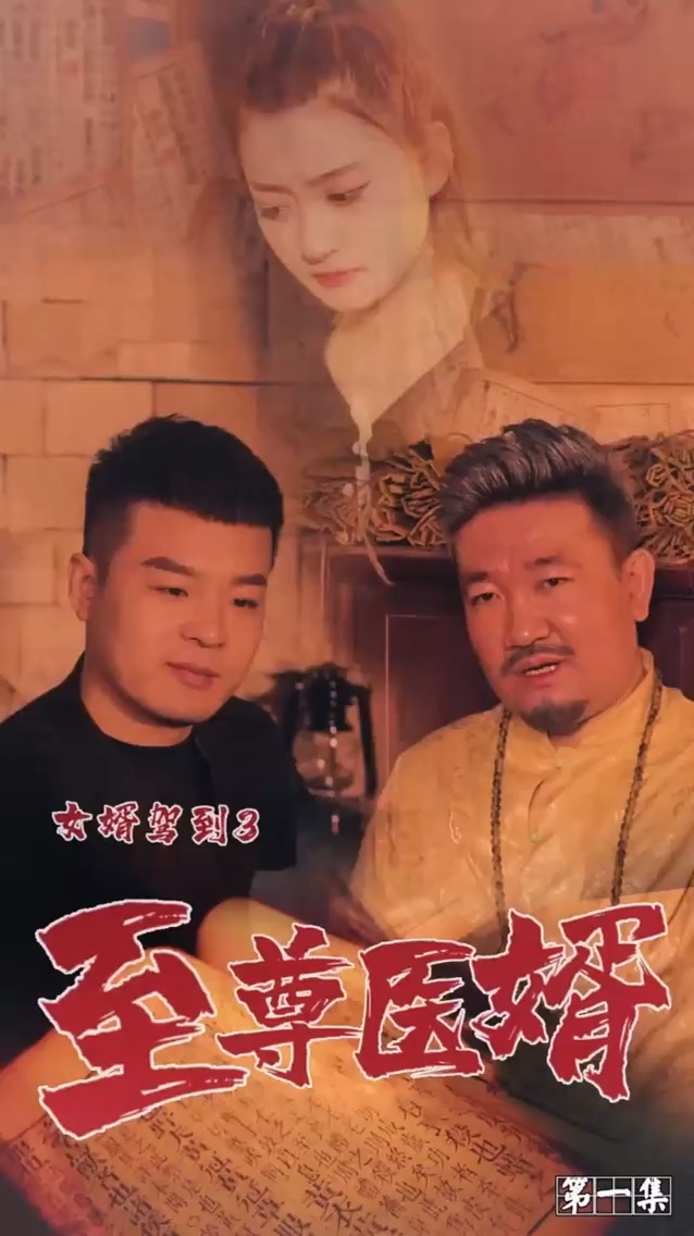 女婿驾到3第06集