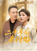 二十年后来闪婚(全集)