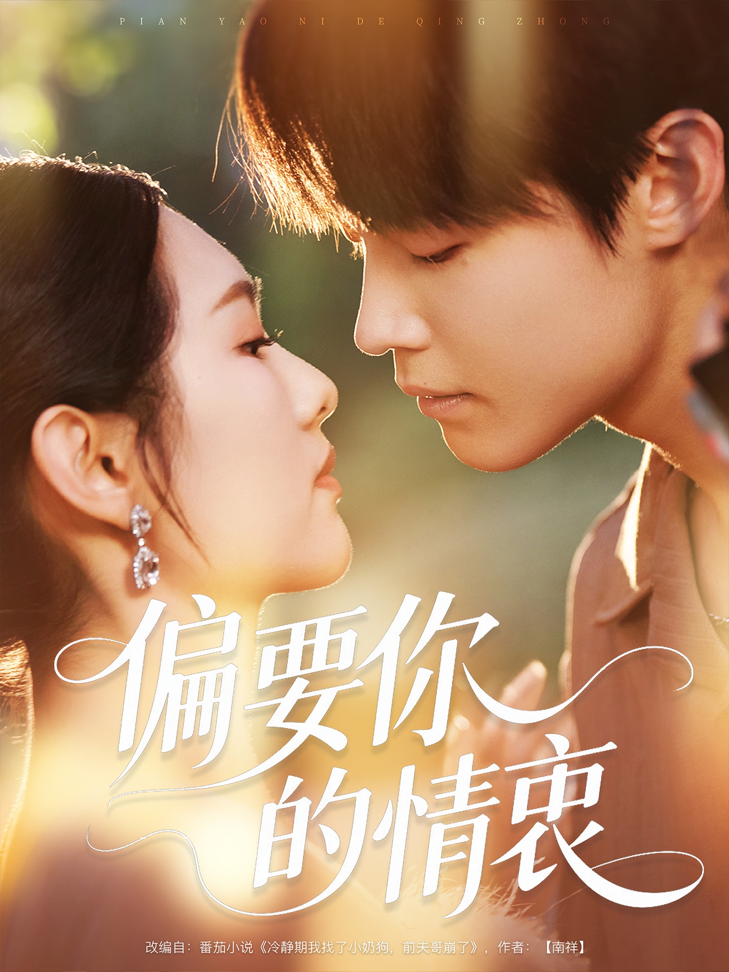 偏要你的情衷(全集)