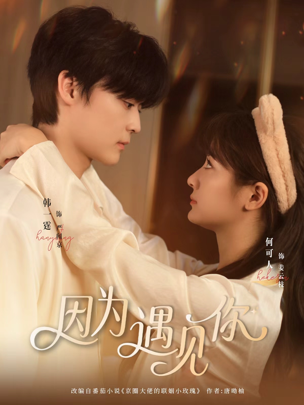 短剧因为遇见你(全集)