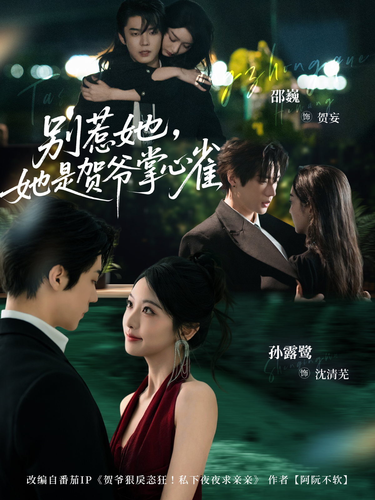 别惹她，她是贺爷掌心雀(全集)